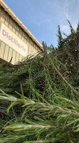 fabricant d'huiles essentielles de renom