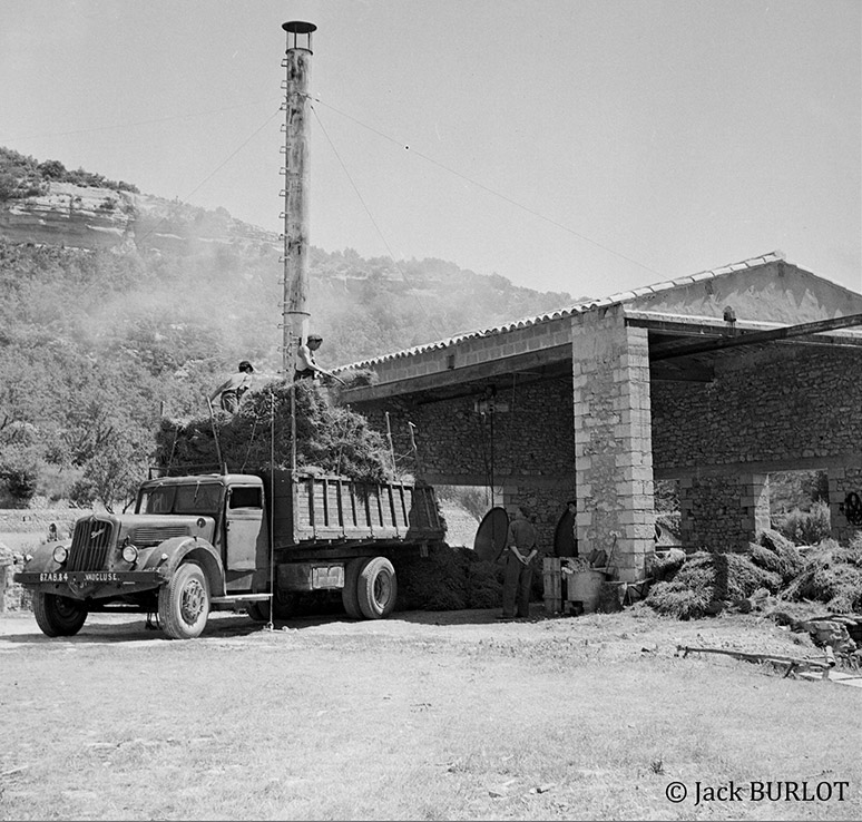 Une histoire ancrée en Provence depuis des siècles